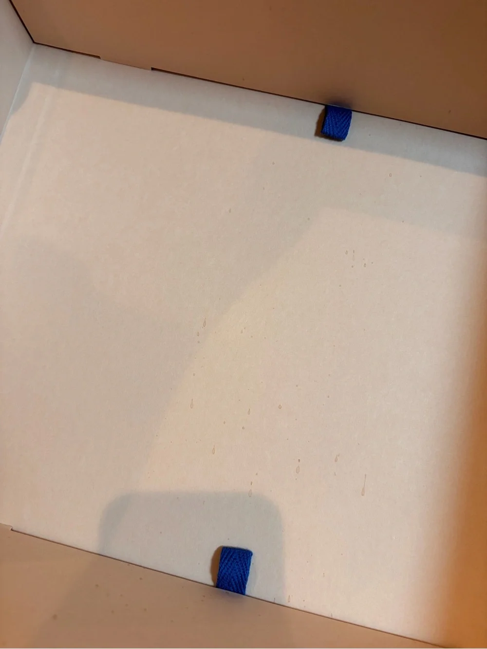 Louis Vuitton Orange Box with Blue Ribbon